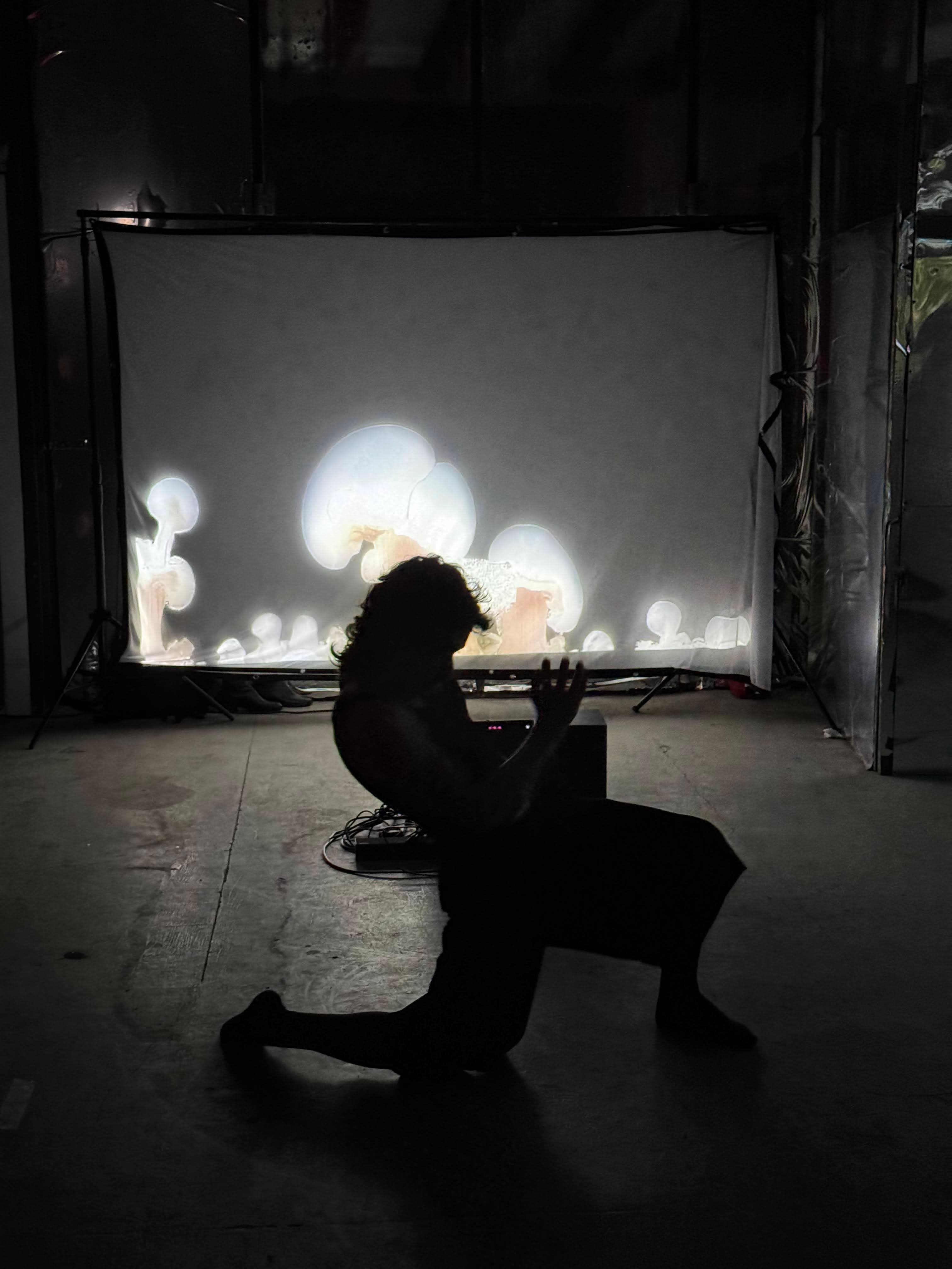 Symbiosis of the Organic and the Digital