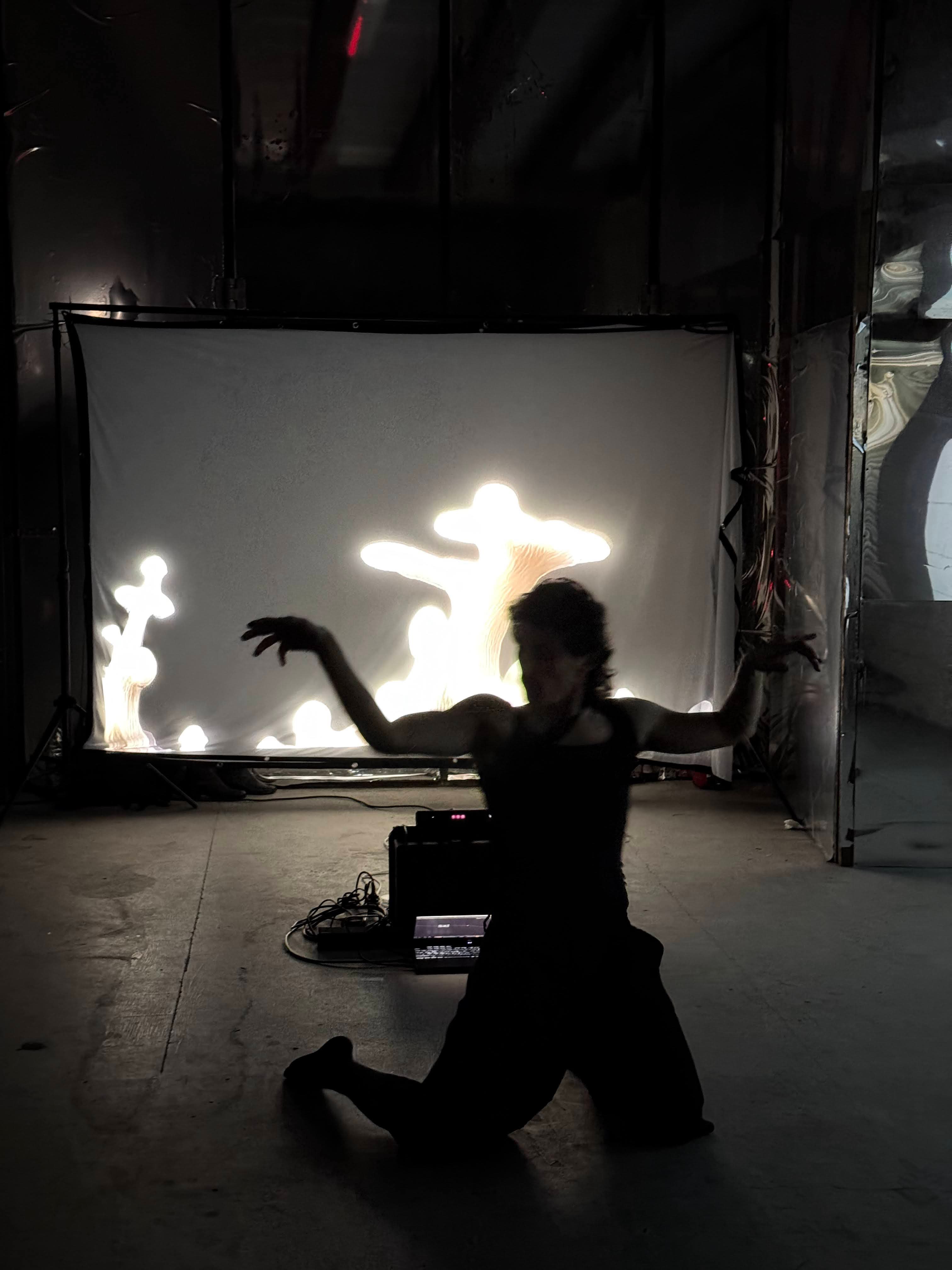 Symbiosis of the Organic and the Digital — 1